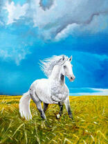 Белый конь среди поля