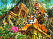 семья тигров на древних руинах в джунглях