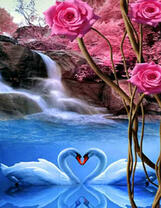 Лебеди на озере с водопадами и розы