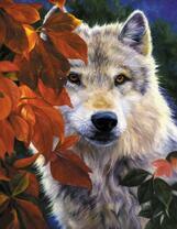 Серый волк средь желтых листьев