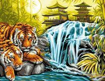 Тигры отдыхают у водопада