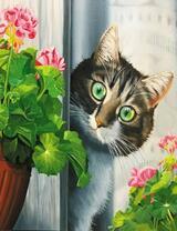 Испуганный котик на окне