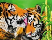 Тигриная любовь