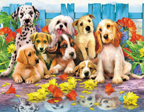 Щенки разной породы в цветочном саду