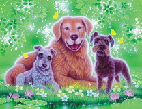 Три собаки у реки