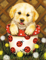Щенок в горшочке с божьими коровками