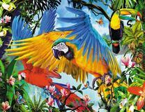 Красочные попугаи ара