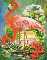 Два фламинго возле красивых цветов