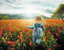 Маленькая девочка в поле маков