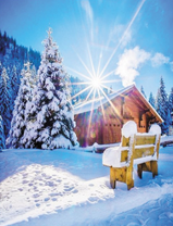 Яркое солнце над заснеженным лесом в горах