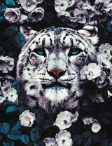 Снежный барс среди белых цветов