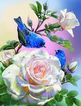 Синяя птичка на веточке белой розы