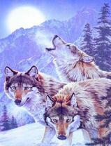 Серые волки в снежных горах под полной луной