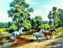 Дикие кони у реки