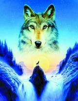 Волк у водопада в горах