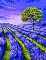 Одинокое дерево в поле лаванды