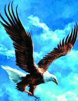 Охота большого орлана