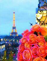 Букет роз на фоне вечернего Парижа