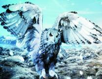 Белый филин в горах