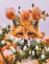 Лиса среди рыженьких цветов