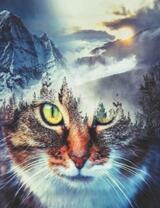 Взгляд кошки и заснеженные горы