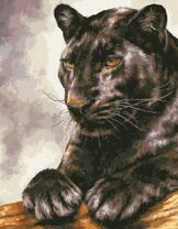 Блеск черной пантеры