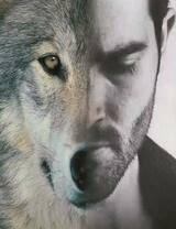 Мужчина и серый волк