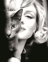 Мэрилин с кошечкой