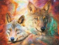 Волки и звездная мгла