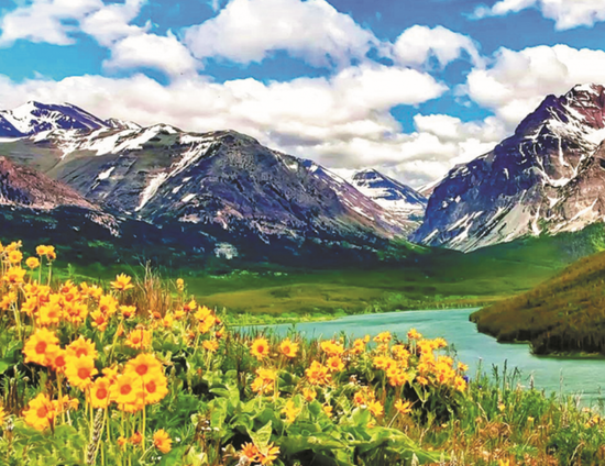 Алмазная мозаика 40x50 Цветочные поляны с видом на заснеженные горы