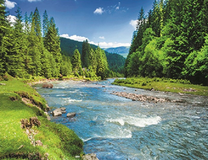 Чистая река у подножья гор