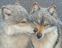 Поцелуй волчицы