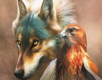 Волк и сокол