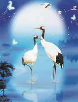 Два журавля на кристально чистом озере