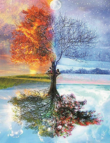 Дерево в четырех сезонах