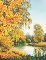 Прекрасная осень у реки