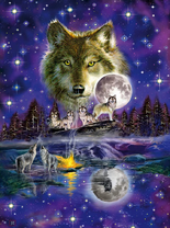 Волчья стая под звездным небом