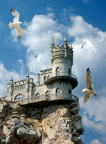 Чайки с видом на Ласточкике гнездо