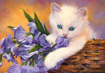 Белоснежный котёнок в корзине с цветами
