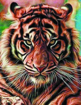 Портрет сурового тигра