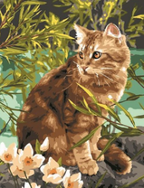 Милый кот возле белых цветов