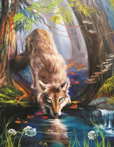 Волк пьет с реки