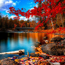 Дамба на озере в осеннем лесу