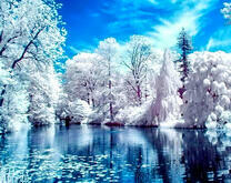 Зима на лесном озере