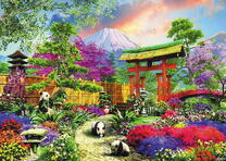 Красивый заповедник для панд