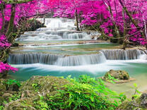 Цветущие деревья над рекой