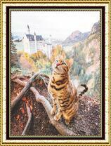 Полосатый кот на горе у замка