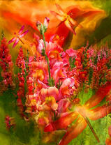 Яркие стрекозы на поле цветов