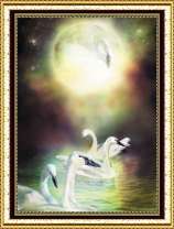 Молодые лебеди на озере под луной