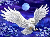 Белая сова на фоне синего ночного неба